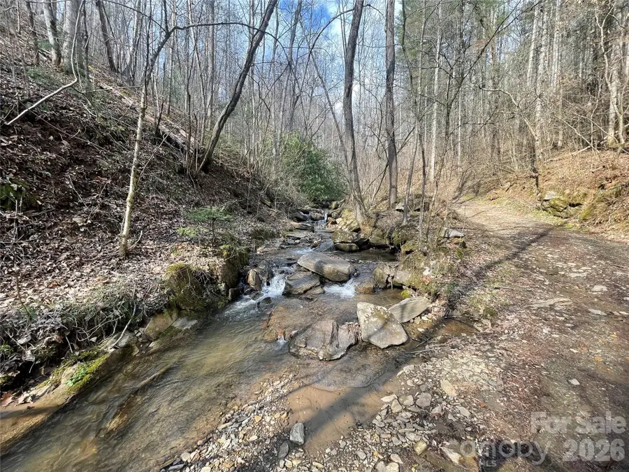 00 Cane Creek Road #TR B, Cullowhee, NC 28723 - #2