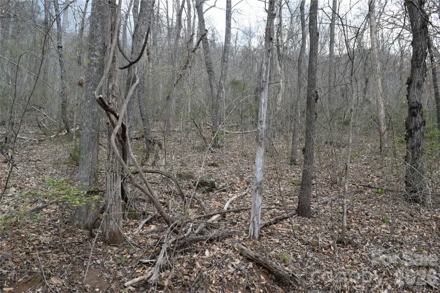 TBD Bel Air Road #18-19, 21, 23,27-28,31-33, Cullowhee, NC 28723 - #2