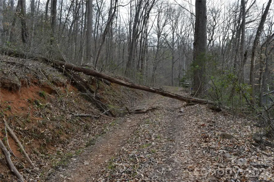 TBD Bel Air Road #18-19, 21, 23,27-28,31-33, Cullowhee, NC 28723 - #3