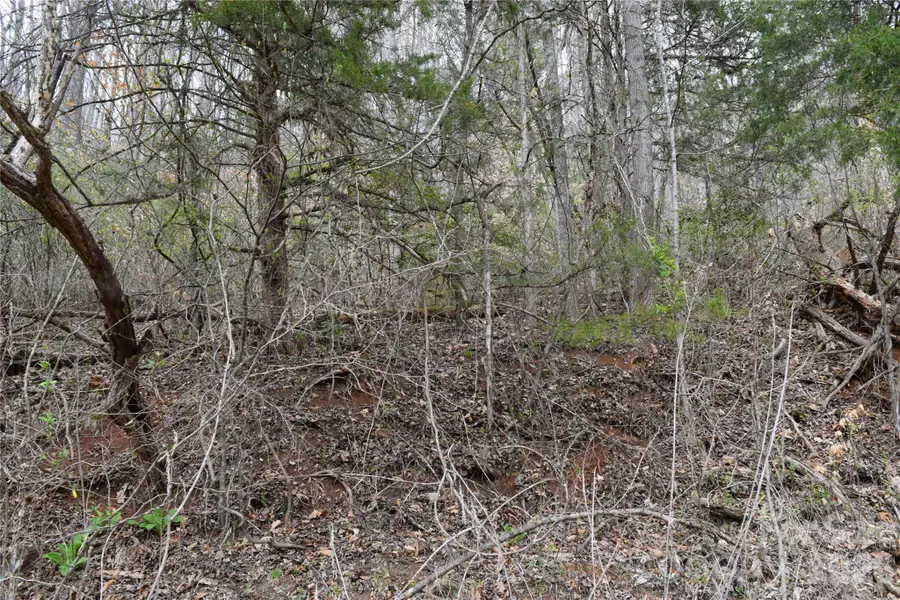 TBD Bel Air Road #20, Cullowhee, NC 28723 - #3