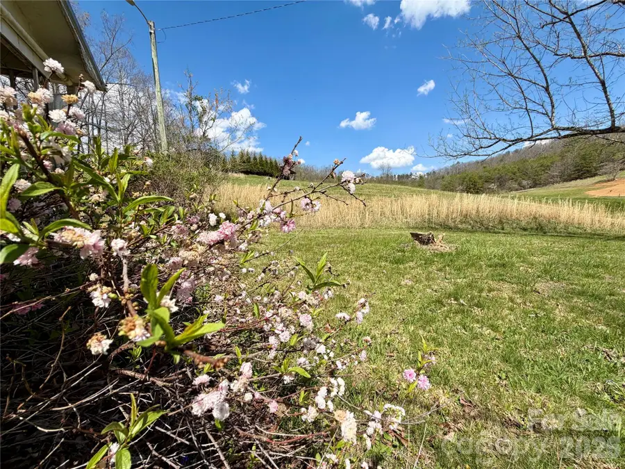 637 Fletcher Martin Road, Alexander, NC 28701 - #3