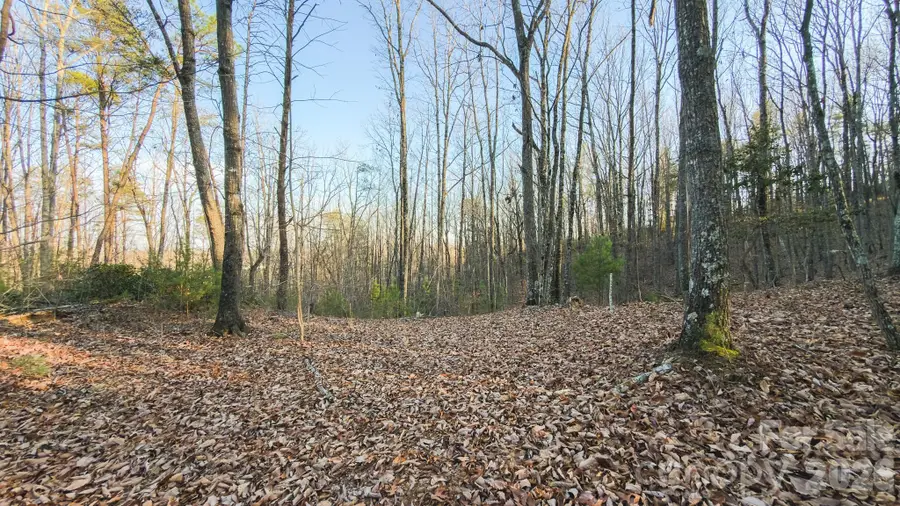 TBD All Healing Springs Road #2, Taylorsville, NC 28681 - #3