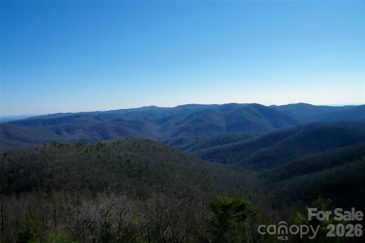 Lot 111 Trellis Drive, Nebo, NC 28761 - #1