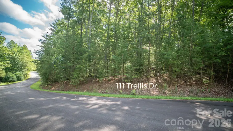 Lot 111 Trellis Drive, Nebo, NC 28761 - #3