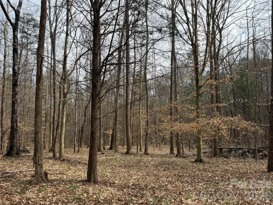 10364 Turnplow Drive, Davidson, NC 28036 - #2