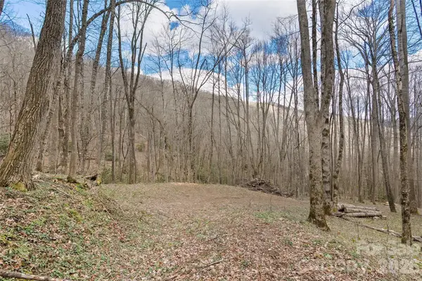 23 Forbidden Cove, Waynesville, NC 28785