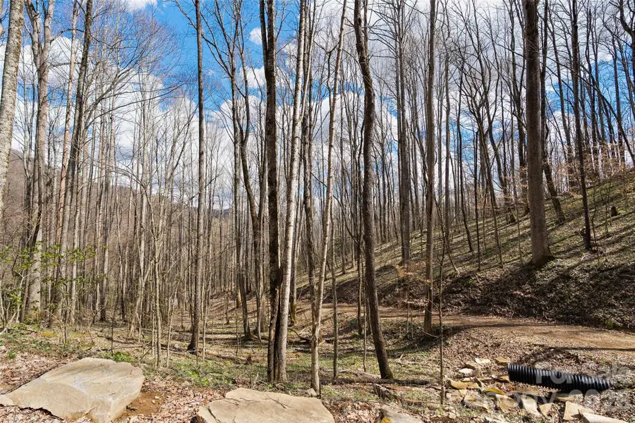 23 Forbidden Cove, Waynesville, NC 28785 - #2