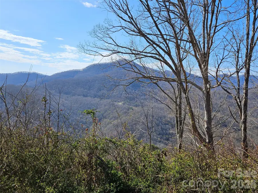 989 High Rock View Drive, Canton, NC 28716 - #3