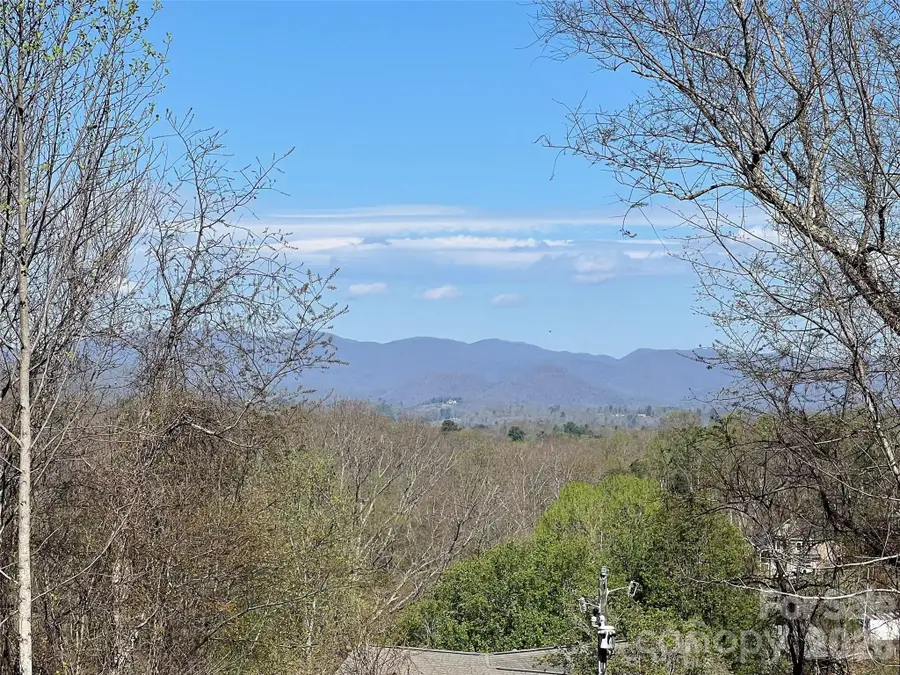 118 Max View Drive, Leicester, NC 28748 - #3