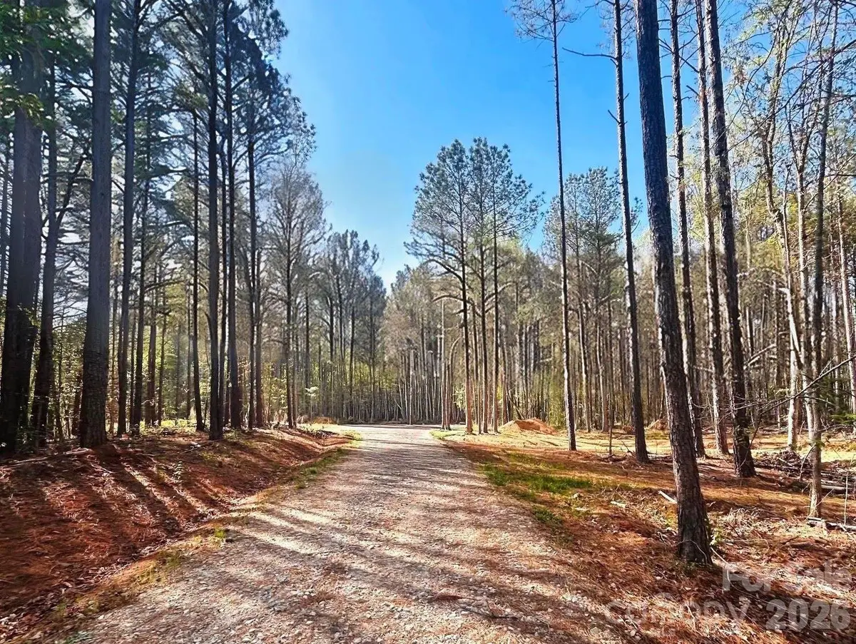 0 Peden Bridge Road, Chester, SC 29706 - #1