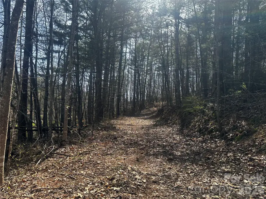 00 Saw Mill Hollow, Burnsville, NC 28714 - #2