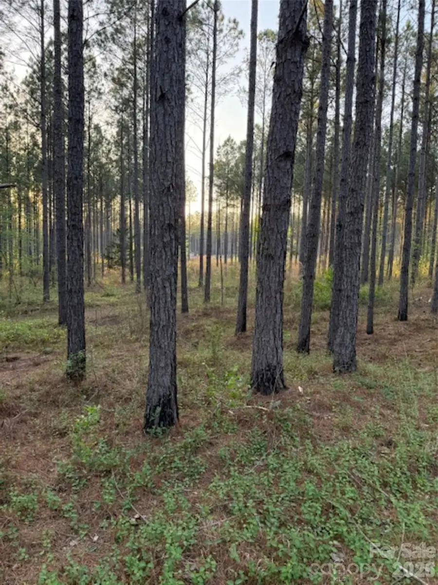 00 Spencer Pointe Road, Lilesville, NC 28091 - #2