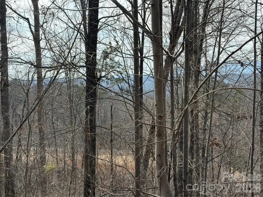Lot 236 Rock Ledge Drive, Lake Lure, NC 28746 - #3