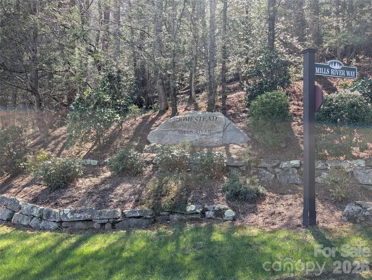 1094 Mills River Way, Horse Shoe, NC 28742 - #1