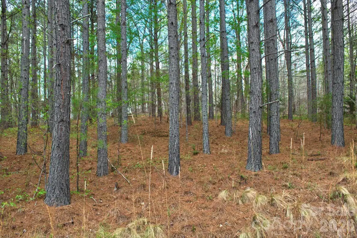 0 Clearwater Parkway #14, Rutherfordton, NC 28139 - #1