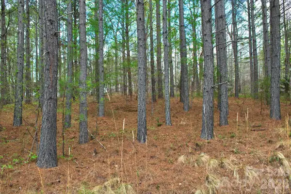 0 Clearwater Parkway #14, Rutherfordton, NC 28139