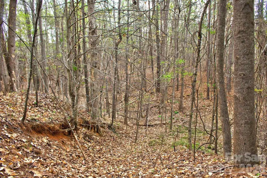 0 Clearwater Parkway #14, Rutherfordton, NC 28139 - #2