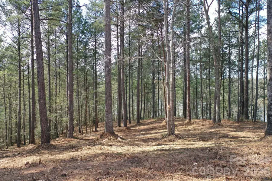 2299 Lighthouse Lane #76, Connelly Springs, NC 28612 - #3