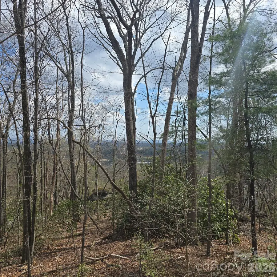 185 Garnet Way #Lot 13, Hendersonville, NC 28791 - #3