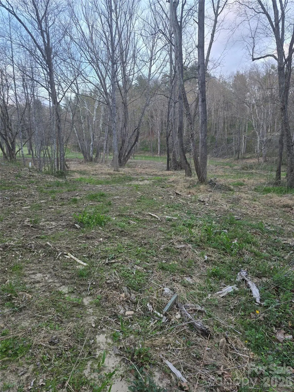 91 Miller Road, Fairview, NC 28730 - #1