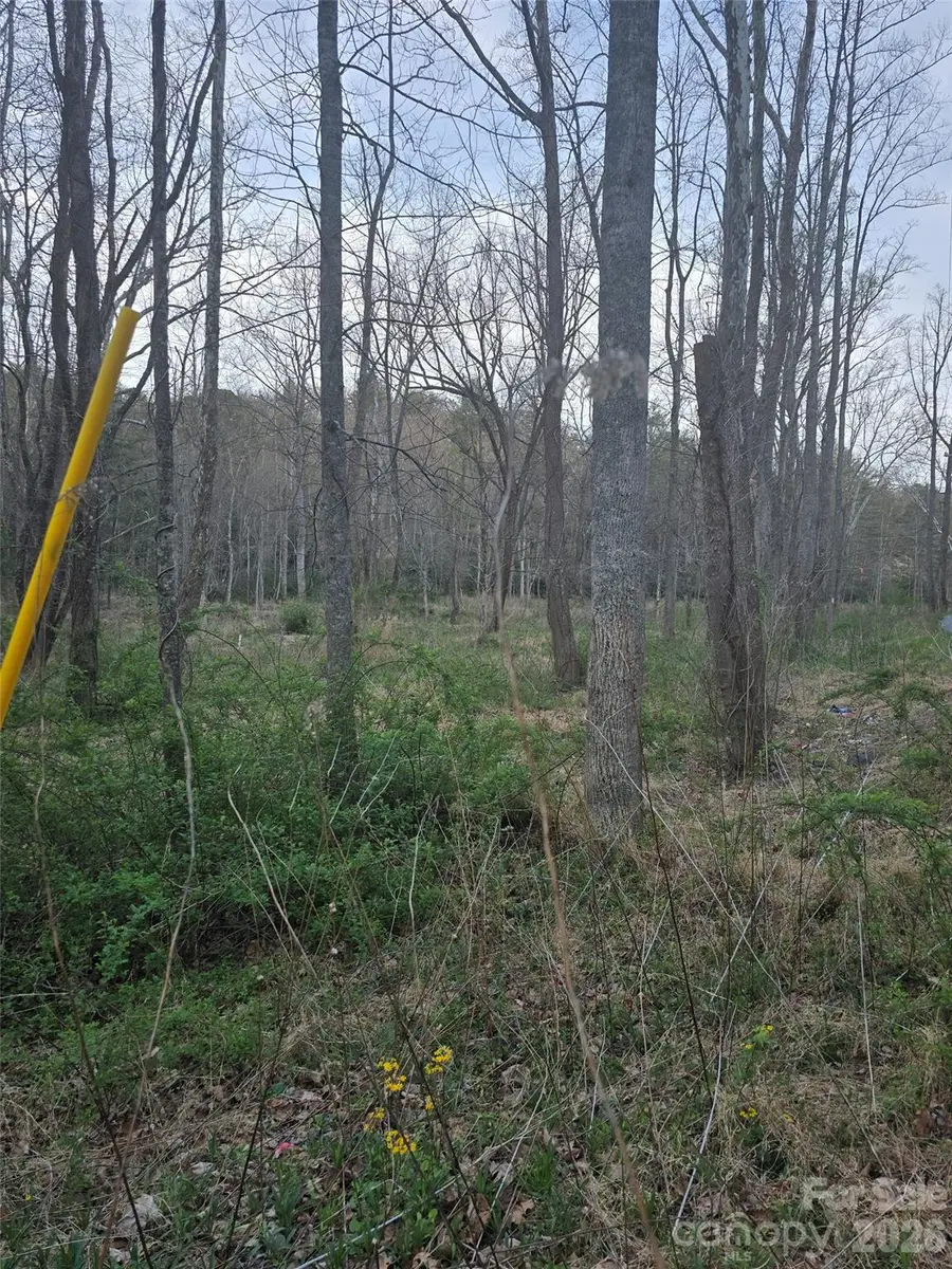 91 Miller Road, Fairview, NC 28730 - #3