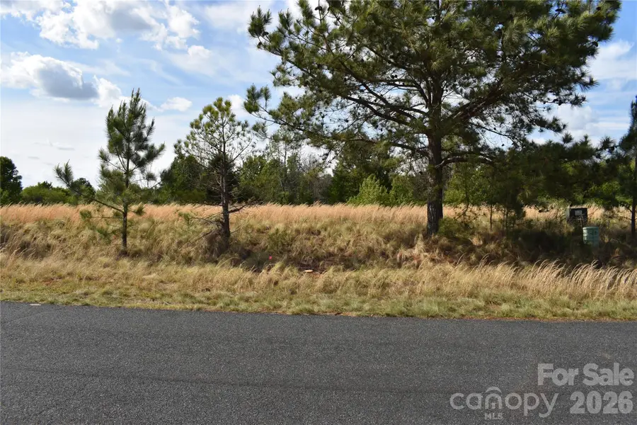 57 Malden Court, Crouse, NC 28033 - #2