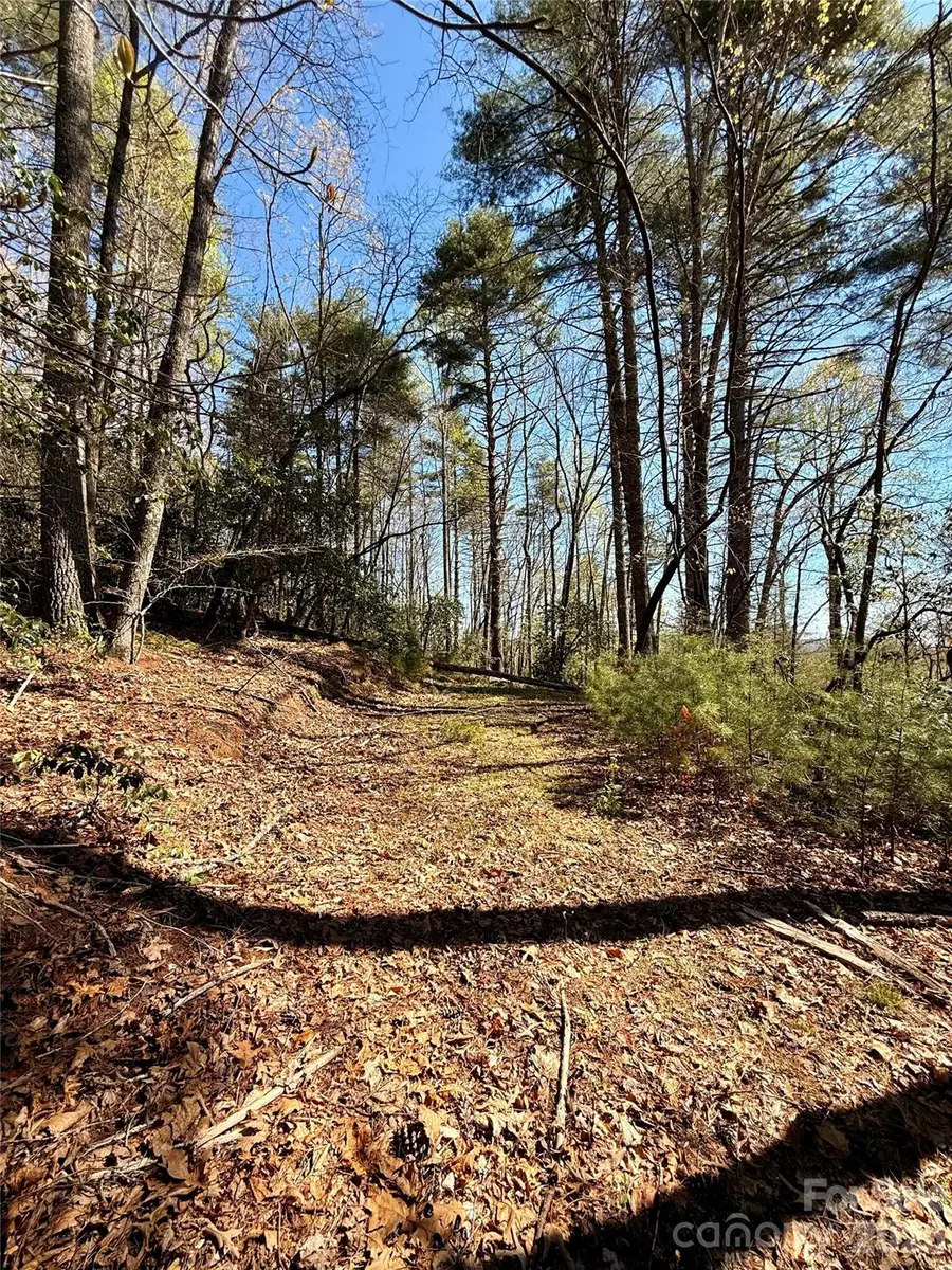 400 Emerald Hills Drive, Penrose, NC 28766 - #2