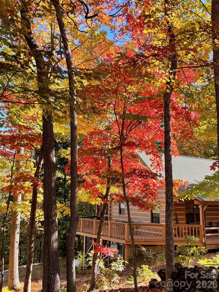 178 Tablerock Drive, Saluda, NC 28773 - #3