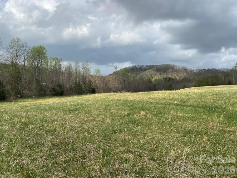 00 Cane Creek Mountain Road #2, Bostic, NC 28018 - #3