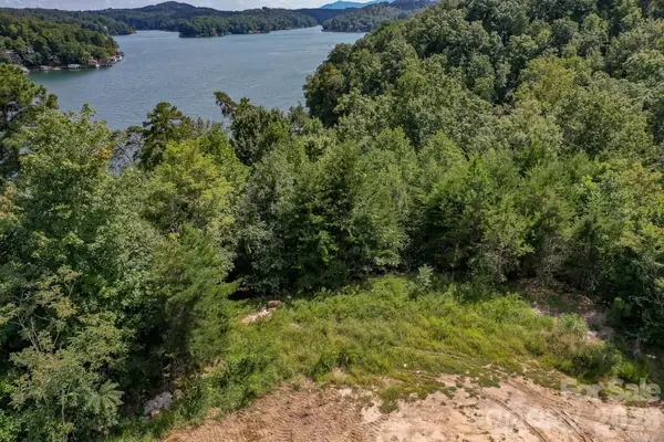 000 Holmstead Drive, Lake Lure, NC 28746
