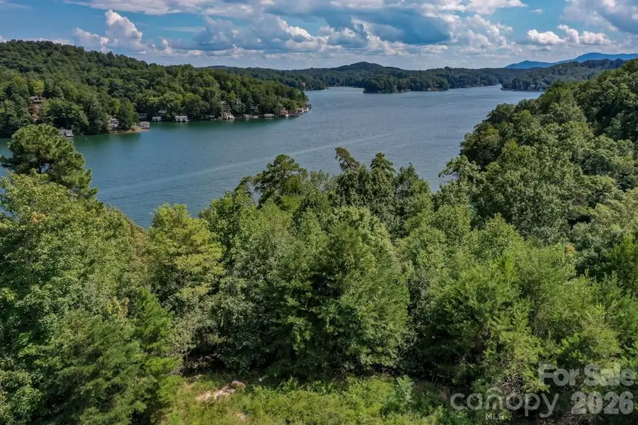 000 Holmstead Drive, Lake Lure, NC 28746 - #3