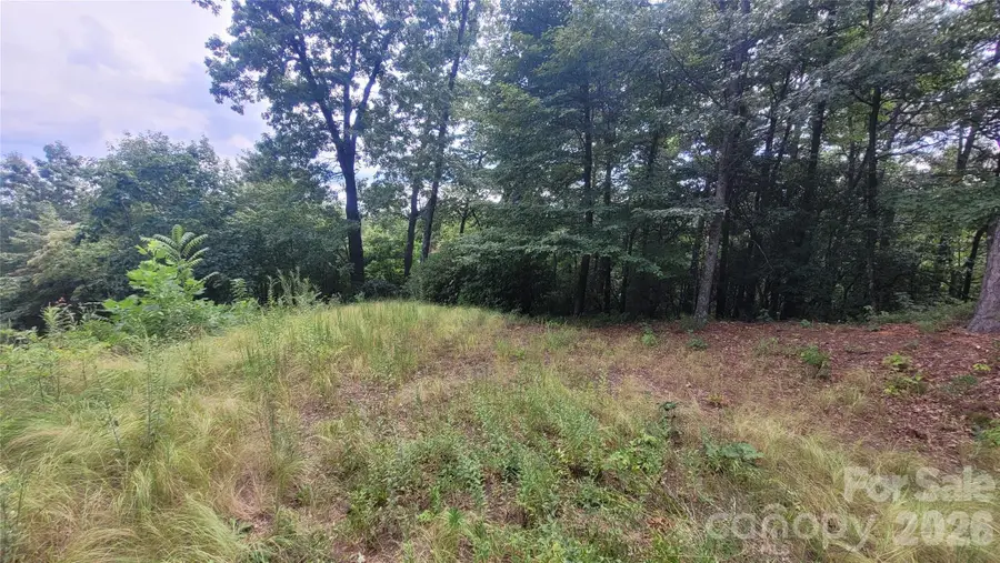 542 & 545A Mckenzie Way S #542 & 545, Old Fort, NC 28762 - #3