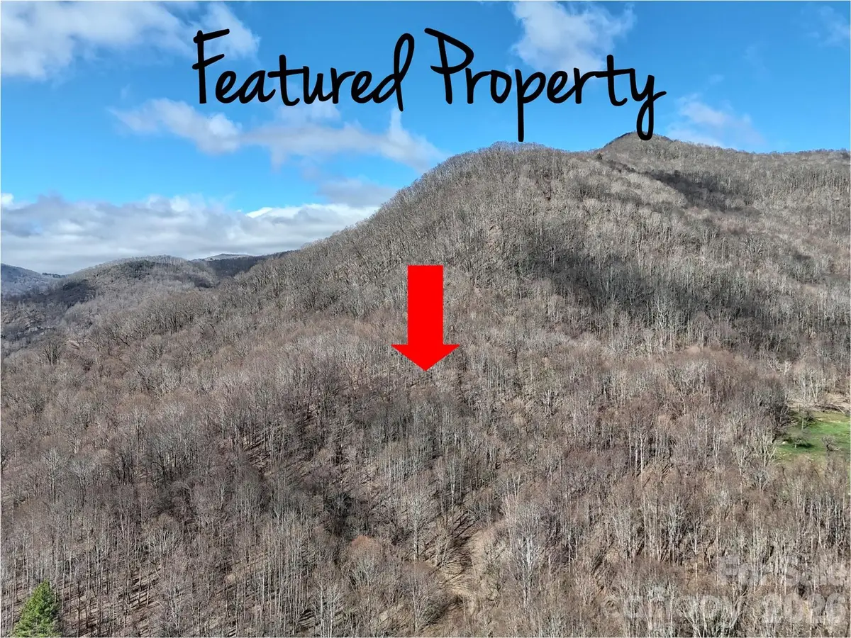 00 Neds Branch Road, Waynesville, NC 28785 - #1