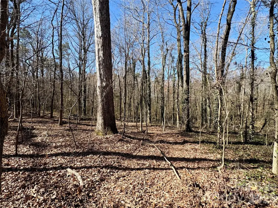 1417 Ellis Griffin Road, Wingate, NC 28174 - #2