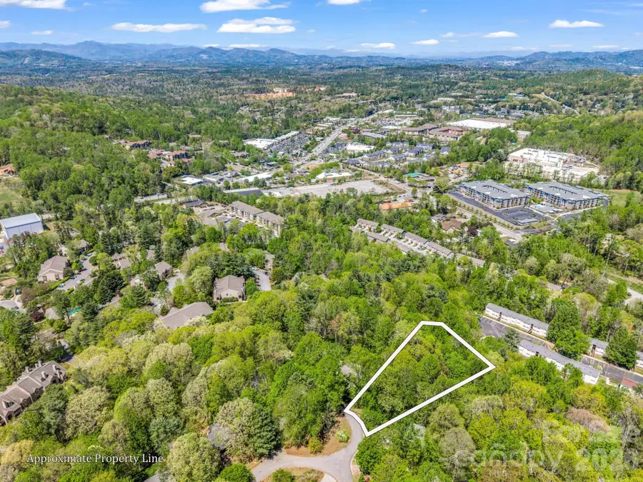 99999 Mountain Site Lane, Asheville, NC 28803 - #2