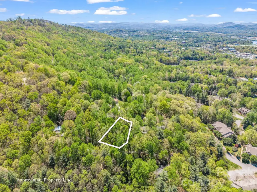 99999 Mountain Site Lane, Asheville, NC 28803 - #3