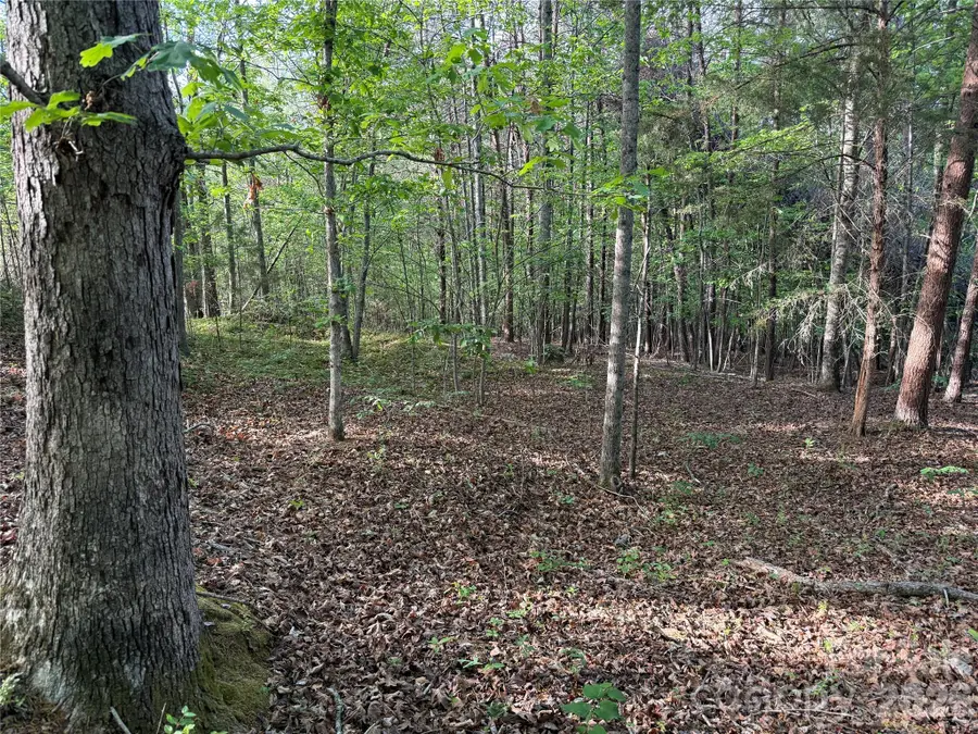 0 Shenandoah Drive #3B, Spindale, NC 28160 - #3