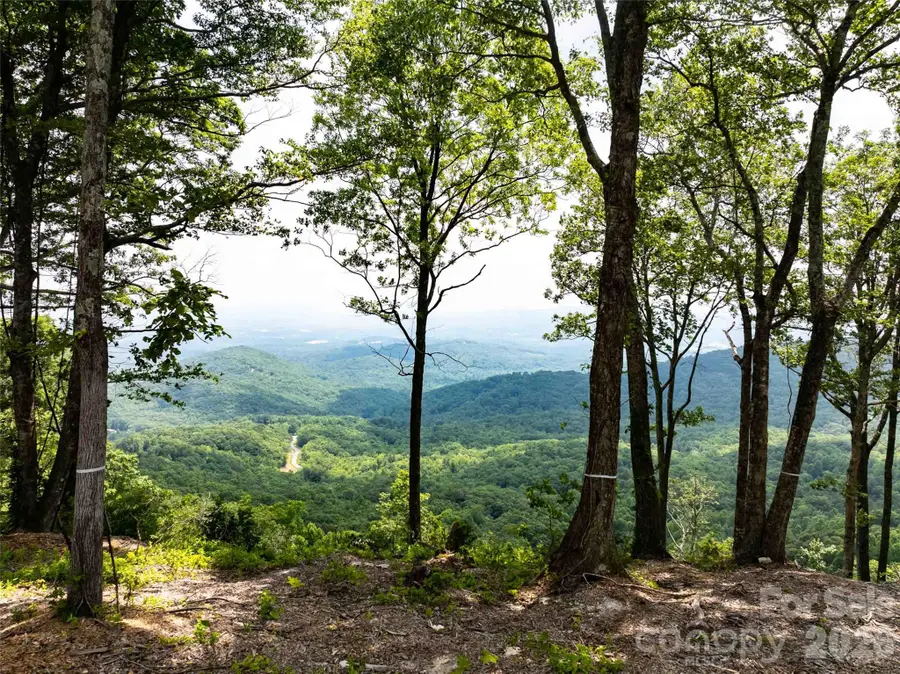 63 Summit Trail Drive #Lot 25, Hendersonville, NC 28792 - #3