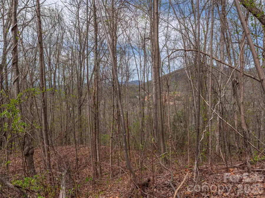 137 & 145 Cedar Mountain Road, Asheville, NC 28803 - #3