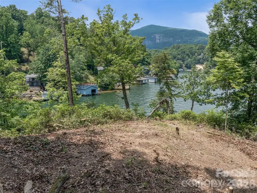 99999 Hawthorne Drive, Lake Lure, NC 28746 - #3