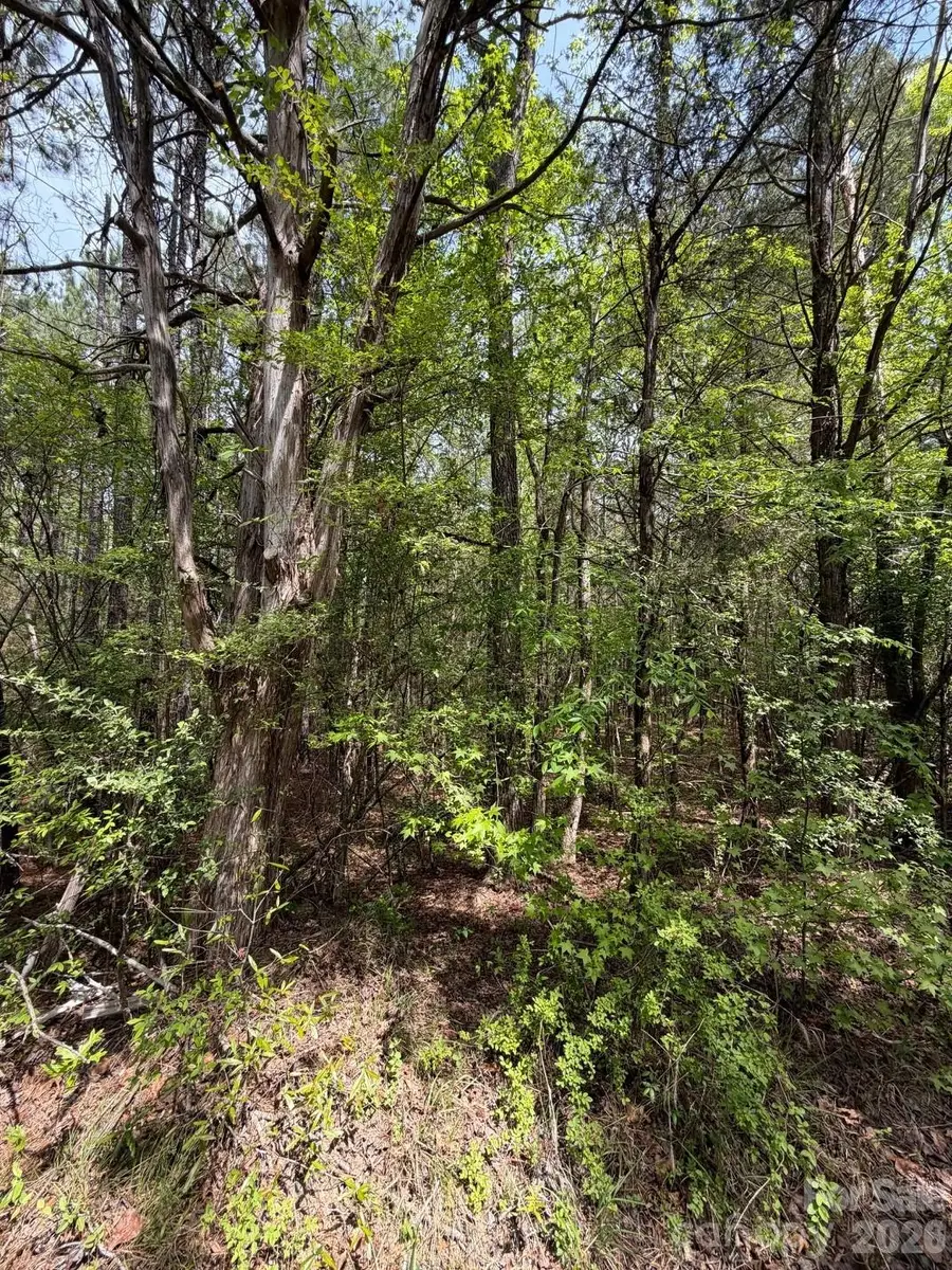 00 Hightower Road, Richburg, SC 29729 - #3