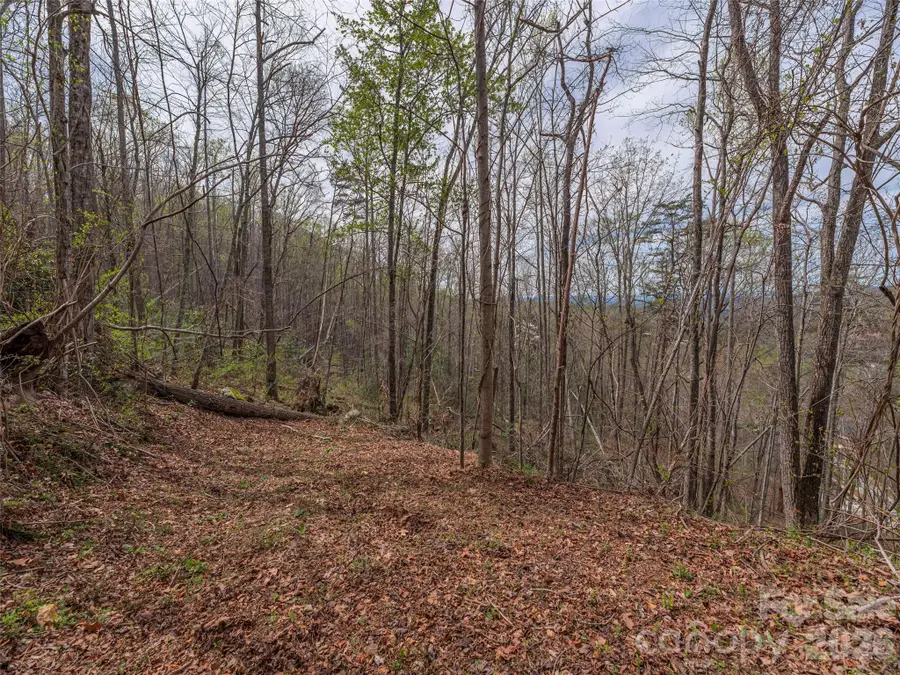 91 & 101 Cedar Mountain Road, Asheville, NC 28803 - #3