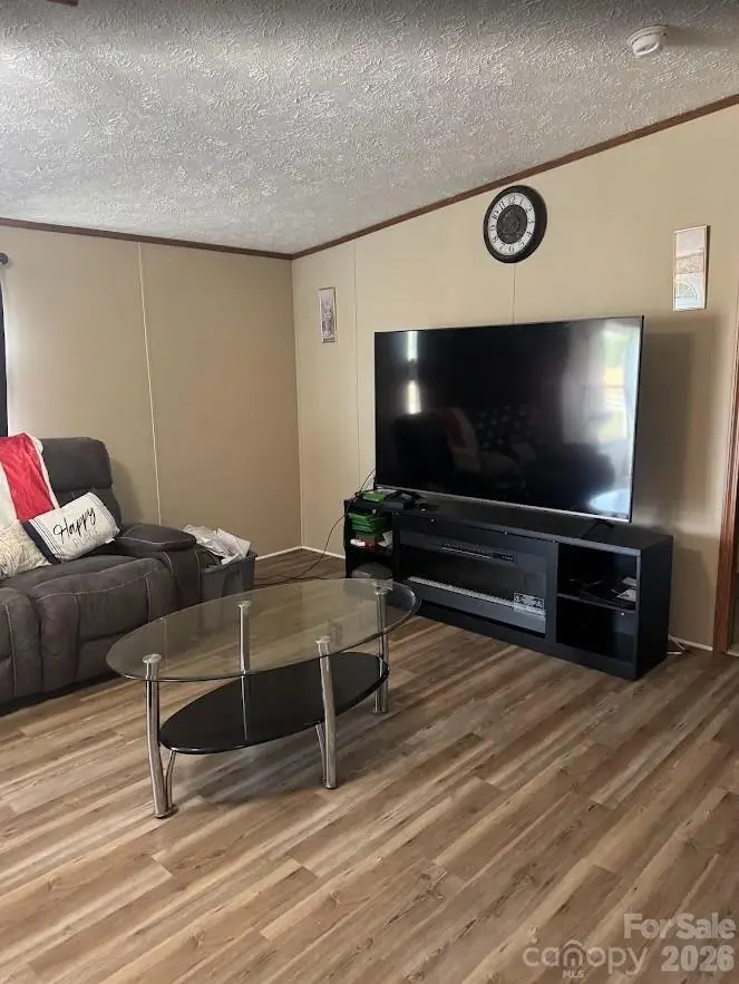 170 Cooper Road, Campobello, SC 29322 - #3