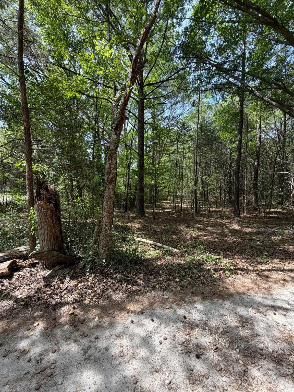 00 William Stevenson Road, Richburg, SC 29729 - #1