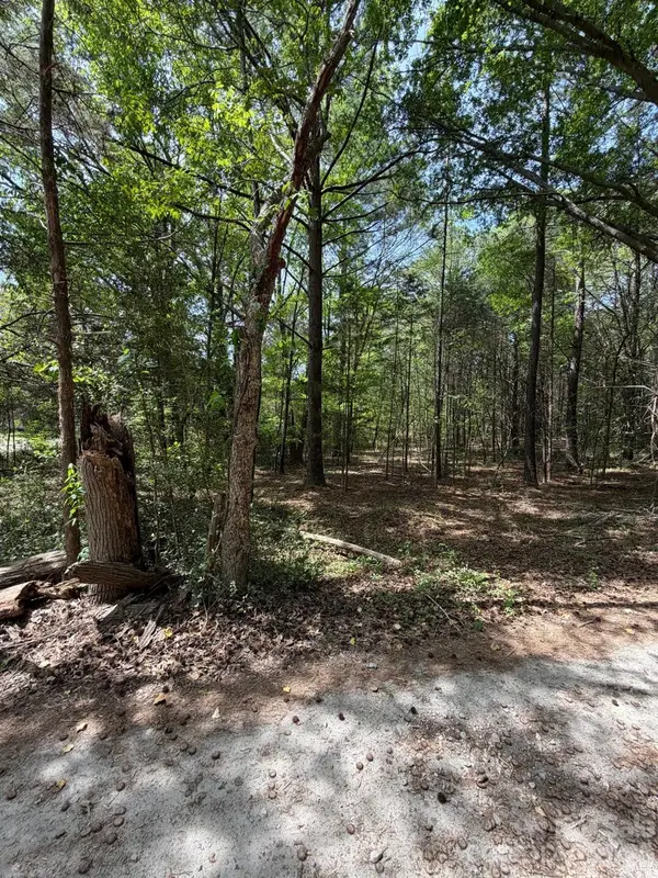 00 William Stevenson Road, Richburg, SC 29729