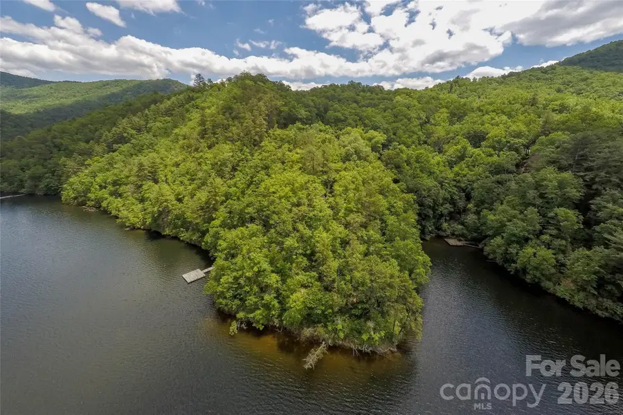 159 Songcatcher Court #159, Tuckasegee, NC 28783 - #3