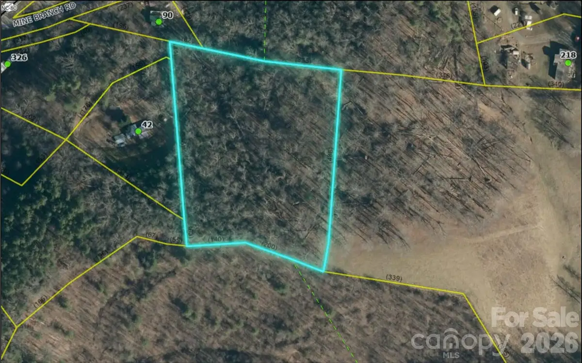 000 Mine Branch Road, Burnsville, NC 28714 - #1