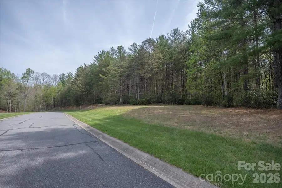103 Big Tree Way, Nebo, NC 28761 - #3