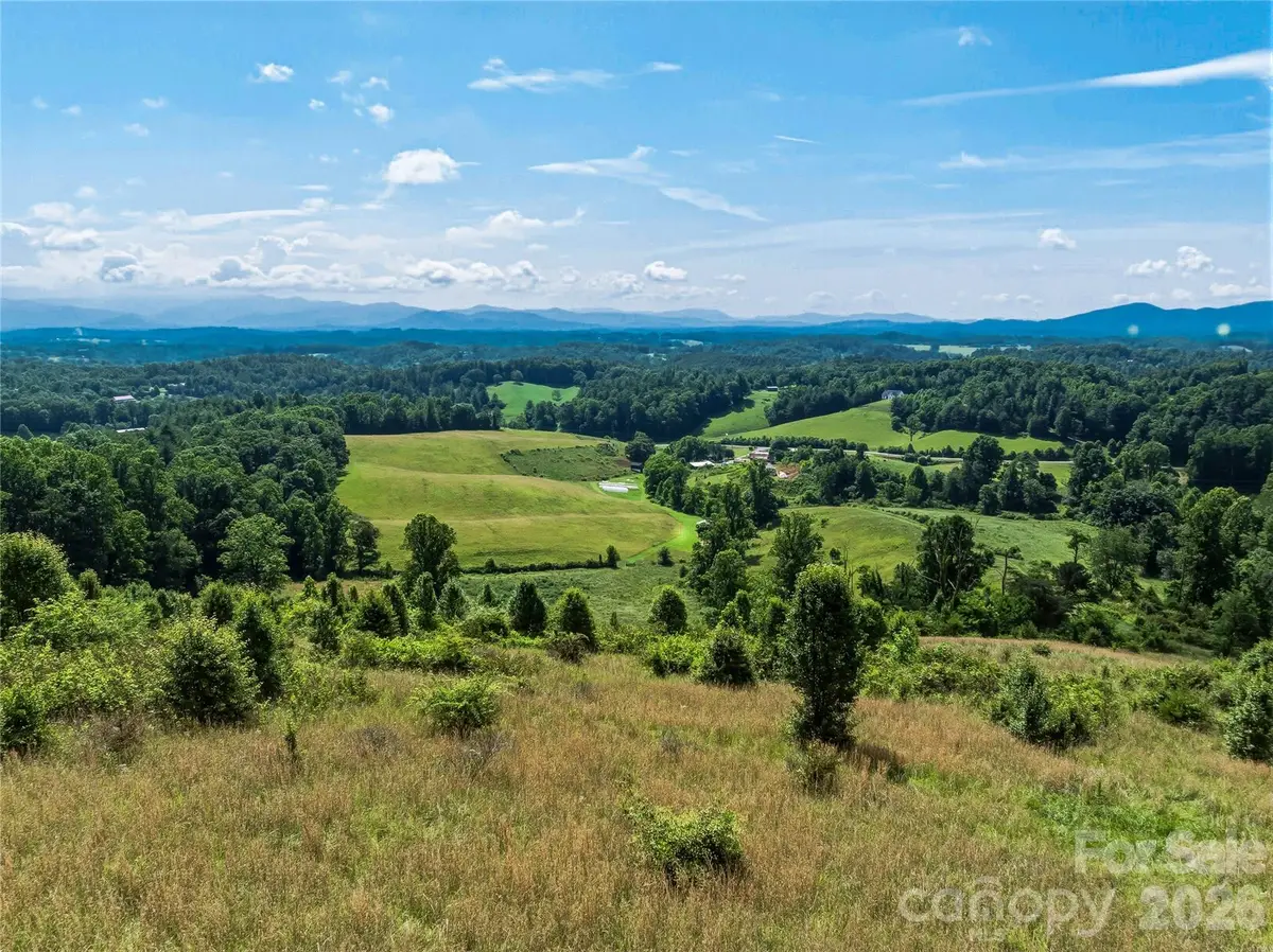 35 Felmet Farm Road, Marshall, NC 28753 - #1