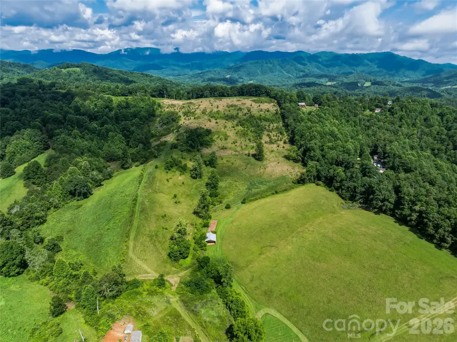 35 Felmet Farm Road, Marshall, NC 28753 - #3